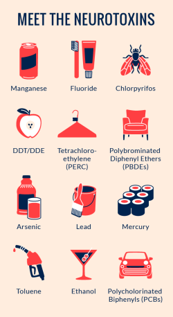 neurotoxins infographics
