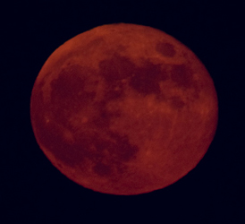 Strawberry Moon image