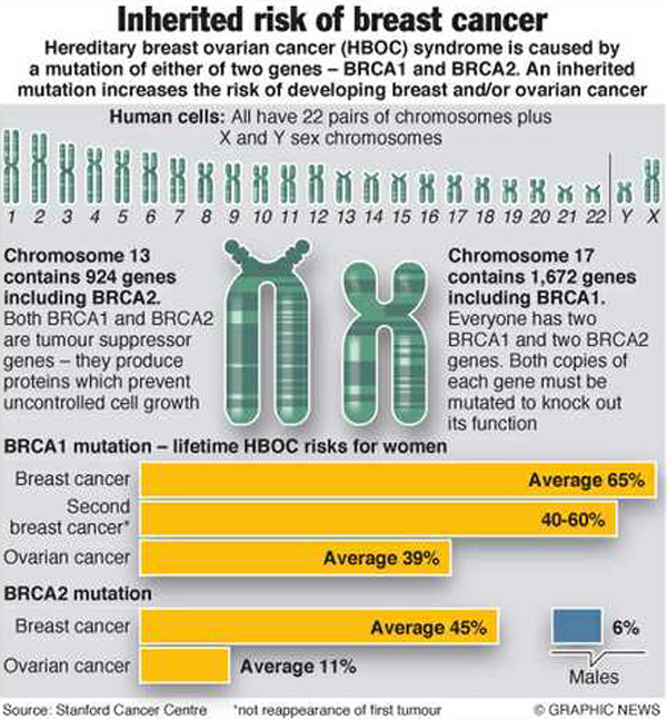 Ген тест 1. BRCA 1/2 инфографика. Инфографика BRCA breast Cancer. Hereditary breast Cancer. Breast and ovarian Cancer.